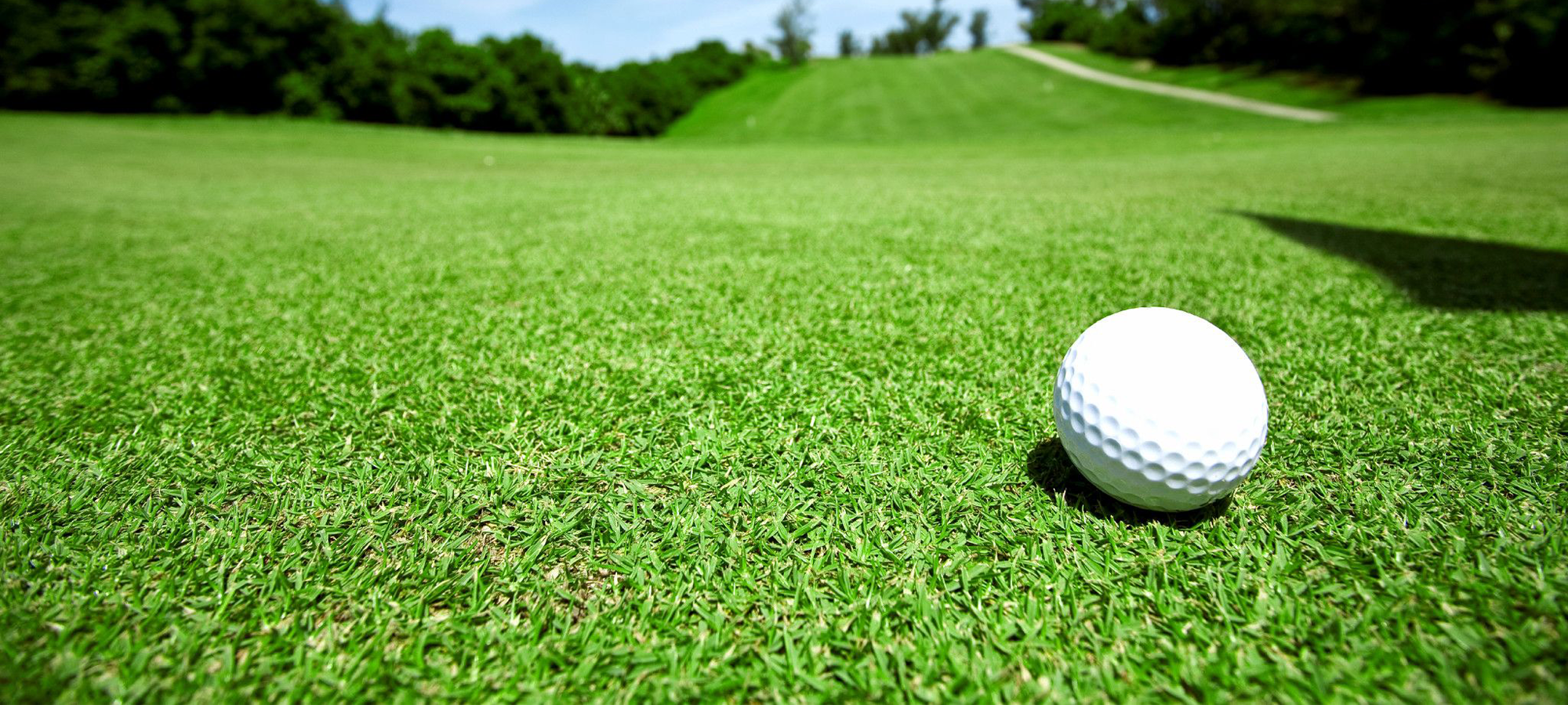 A golf ball on the fairway